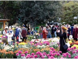 The Botanical Garden Service has been updated