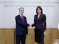 Maka Bochorishvili met with the Israeli ambassador to Georgia