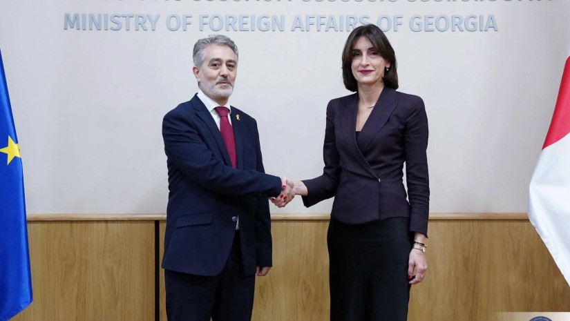 მაკა ბოჭორიშვილი ისრაელის ელჩს შეხვდა