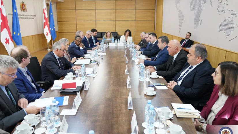 საგარეო საქმეთა სამინისტროში ჟენევის საერთაშორისო მოლაპარაკებების 65-ე რაუნდის მოსამზადებელი შეხვედრა გაიმართა