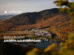 თიბისი კონცეპტის მრავალფეროვანი შეთავაზებები კახეთის სასტუმროებში