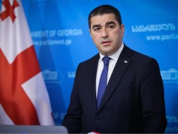 შალვა პაპუაშვილი შალვა პაპუაშვილი