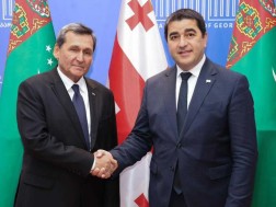 შალვა პაპუაშვილი