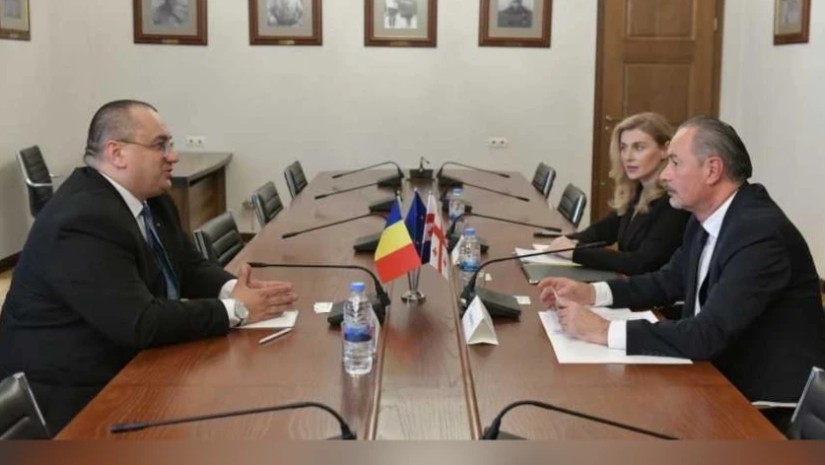 გია ბენაშვილი ევროპარლამენტის წევრს შეხვდა 