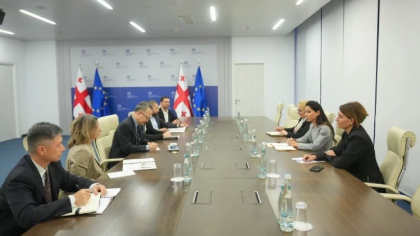 მარიამ ქვრივიშვილი, შეხვედრა