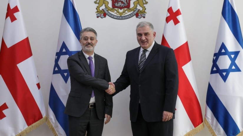 მიხეილ სარჯველაძე ისრაელის ელჩს შეხვდა