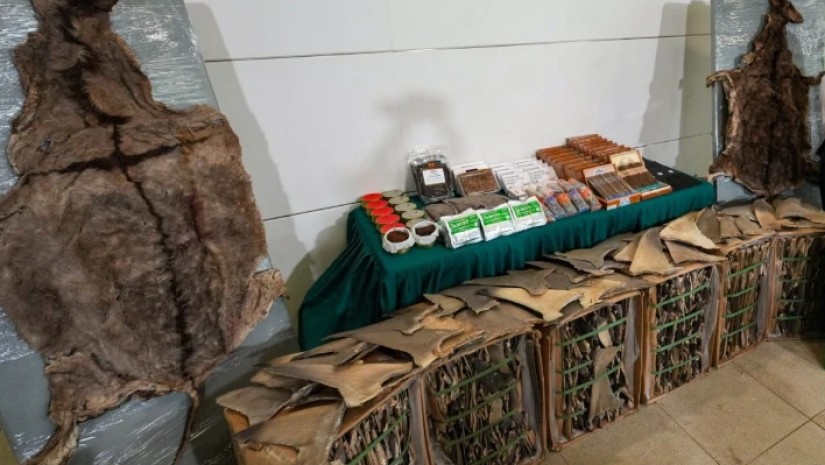 ვირის ტყავი ვირის ტყავი