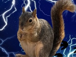 მსუქანი ციყვები