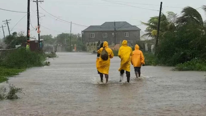 სტიქია სტიქია