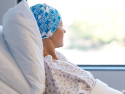 შიმშილი და კიბო