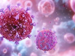 როგორ და სად იმალება აივ-ინფექცია ადამიანის სხეულში