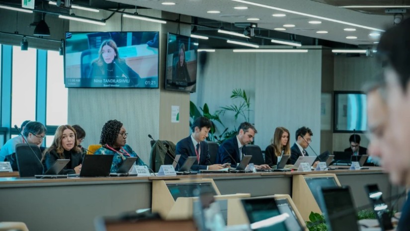 ნინო თანდილაშვილი ნინო თანდილაშვილი