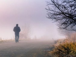 გარდაცვლილი