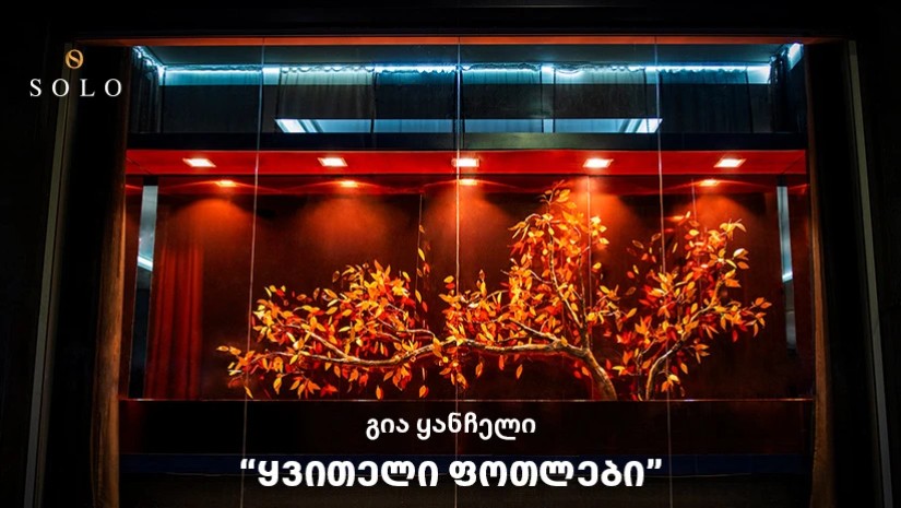  SOLO-მ გია ყანჩელის კომპოზიციის - ყვითელი ფოთლების ინსპირაციით, საშემოდგომო ვიტრინები შექმნა