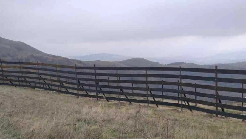 ველური ბუნების ეროვნული სააგენტო