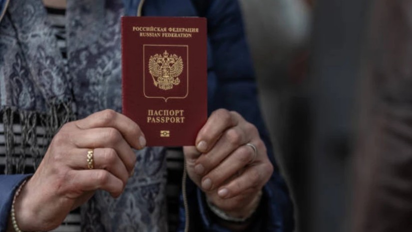 მულტივიზა