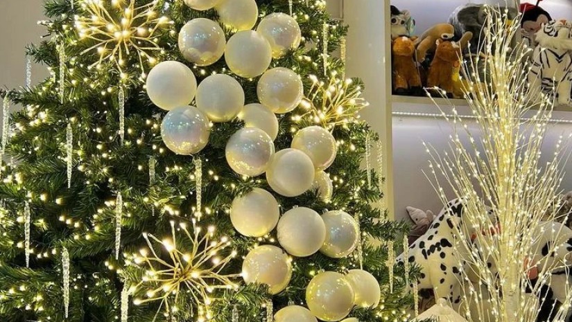 ნაძვის ხე