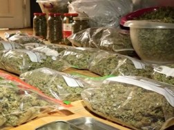 ნარკოტიკი