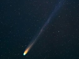 31 ატლასი