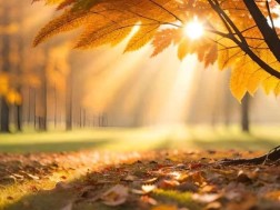 შემოდგომა