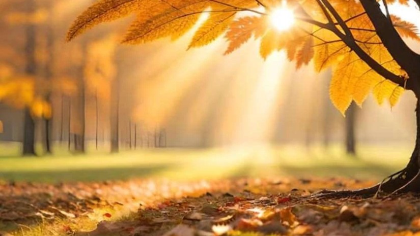 შემოდგომა