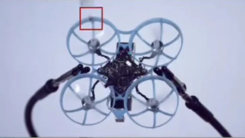 კოღოების გამანადგურებელი დრონი