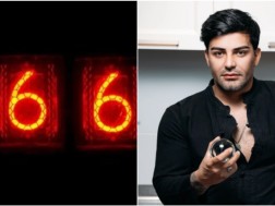 გოგა მანია 