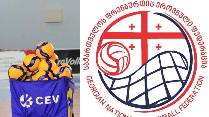 ფრენბურთის ფედერაცია