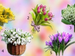 ყვავილები ყვავილები