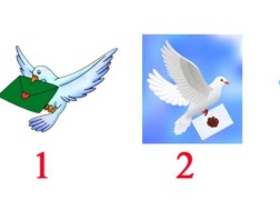 ტესტი ტესტი