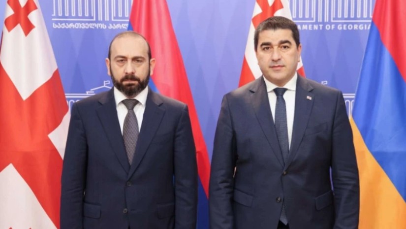 შალვა პაპუაშვილი