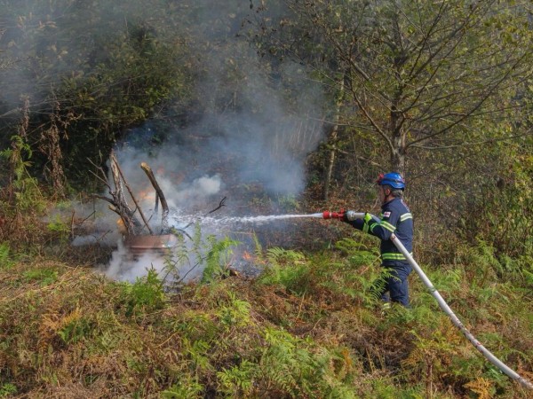 თავდაცვა თავდაცვა