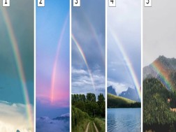 ცისარტყელა