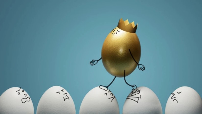 ნარცისი