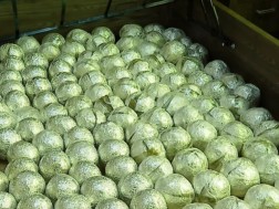 პოლიციამ თბილისში, 3 მილიონი ლარის ნარკოტიკი ამოიღო