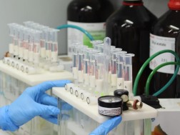 სურსათის ეროვნული სააგენტო სურსათის ეროვნული სააგენტო