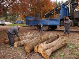 იმერეთი