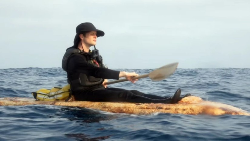 სოკოს ნავი