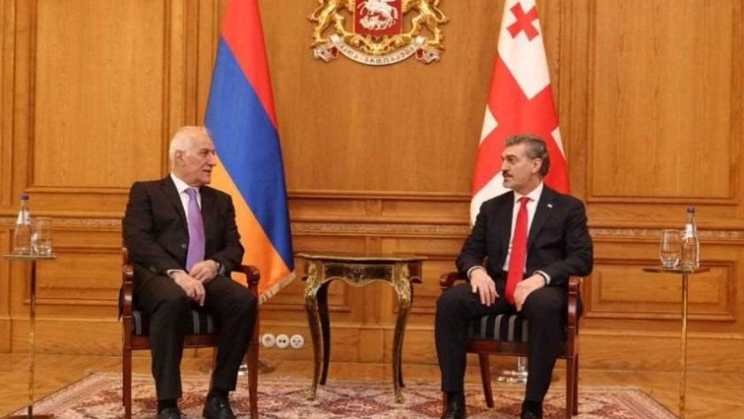  მიხეილ ყაველაშვილი