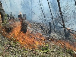 ხანძრები