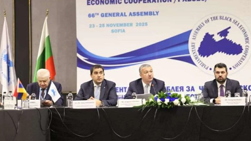 შალვა პაპუაშვილი