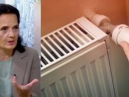  ნანი მეფარიშვილი 