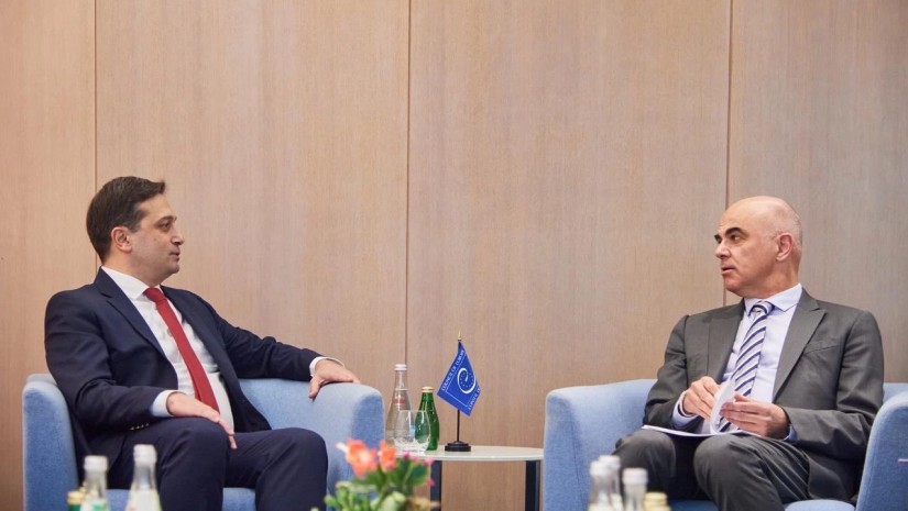  საქართველოს სახალხო დამცველი ევროპის საბჭოს გენერალურ მდივანს შეხვდა