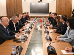 თურქეთის საპარლამენტო დელეგაცია