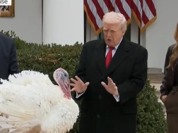 ტრამპმა ორი ინდაური შეიწყალა 