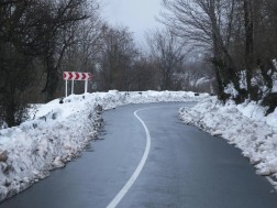 ლიპყინული