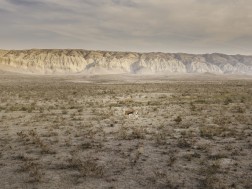 გარემოს დაცვისა და სოფლის მეურნეობის სამინისტროს შემუშავებული პოლიტიკის შესაბამისად დაცული ტერიტორიების სააგენტო ახორციელებს მნიშვნელოვან საკონსერვაციო პროექტებს პოპულაციების აღდგენის მიზნით 