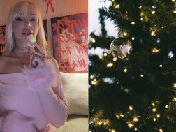 ნაძვის ხე - ლისენკო