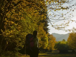 დაცული ტერიტორიები