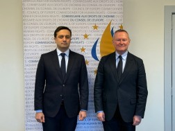  სახალხო დამცველი ევროპის საბჭოს ადამიანის უფლებათა კომისარს შეხვდა